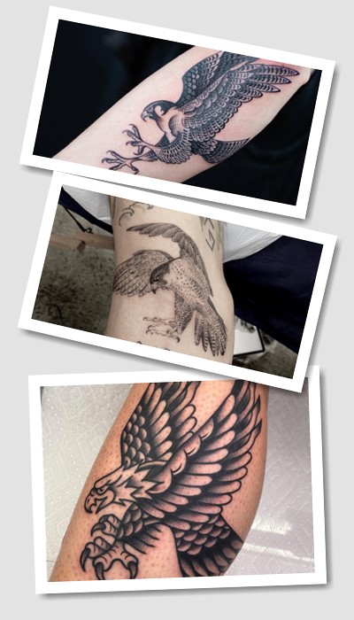 кому підійде тату сокіл