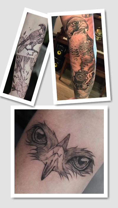 татуювання сокіл у Києві