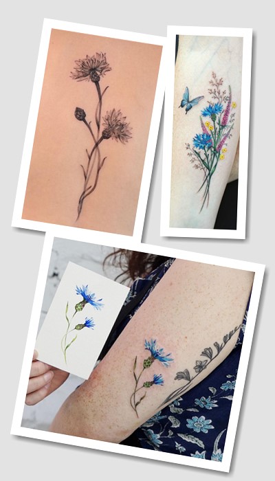 татуювання волошка