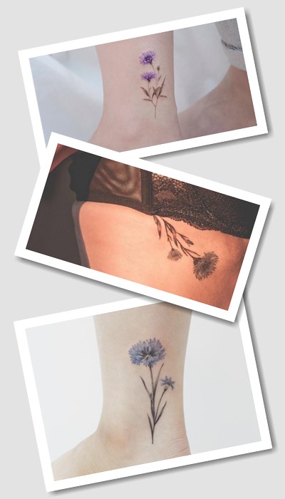 що означає тату волошка