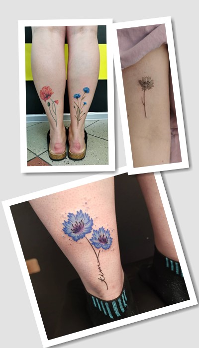 що означає татуювання волошка