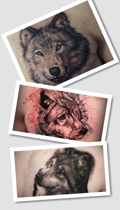 татуювання вовк на грудях у Києві