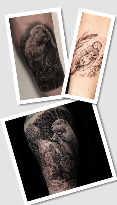 тату бобер 