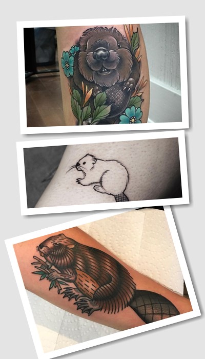 що означає тату бобер