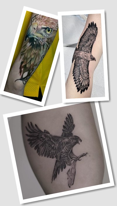 що означає тату яструб