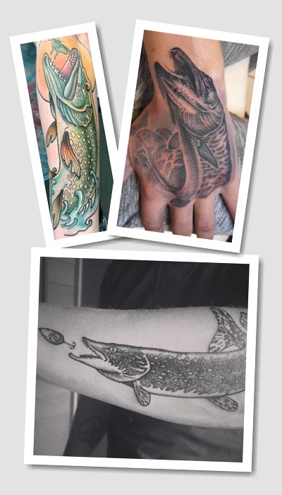 значення тату Щука