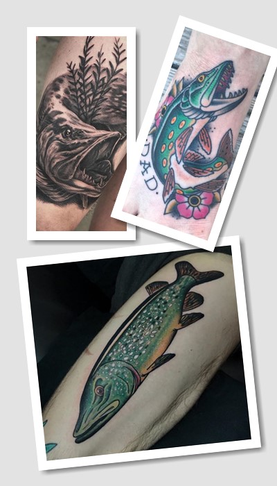 що означає тату Щука