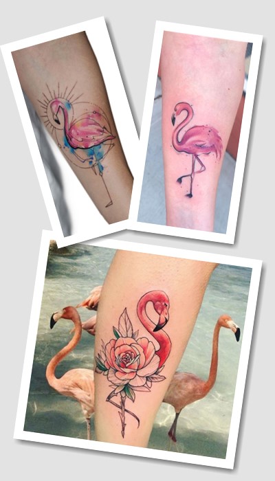 тату Фламінго