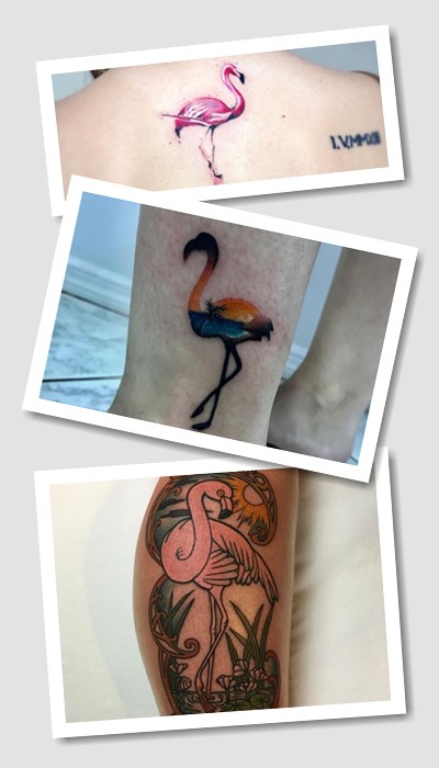 значення тату Фламінго