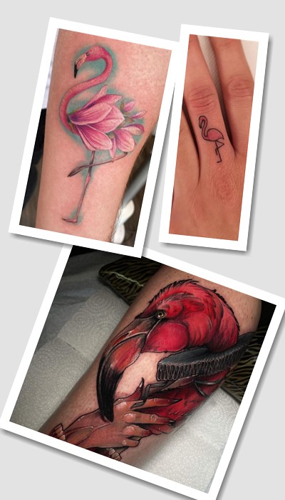 що означає тату Фламінго