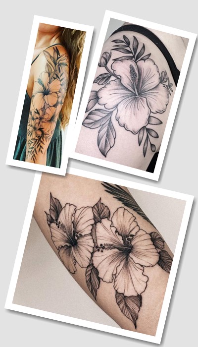 татуювання Гібіскус