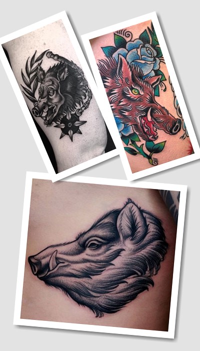 кому підійде тату свиня