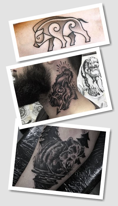 кому підійде татуювання свиня