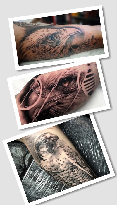 що означає татуювання беркут