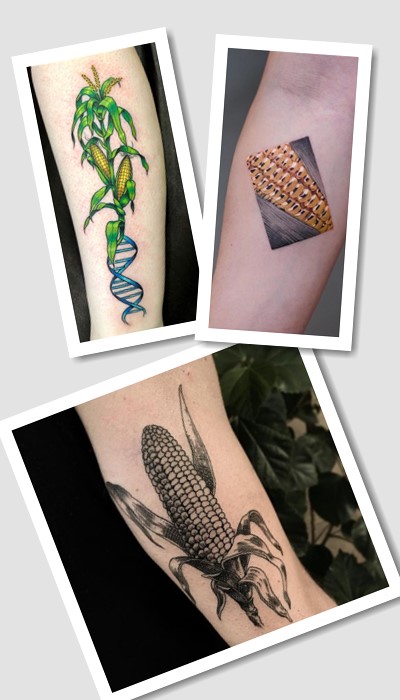 тату Кукурудза
