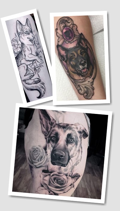 значення татуювання Вівчарка