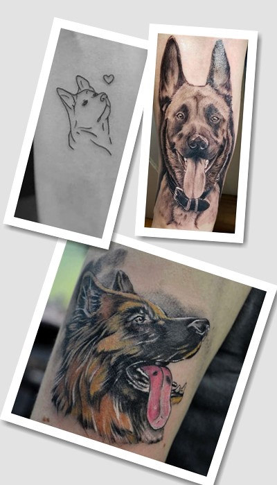 що означає татуювання Вівчарка