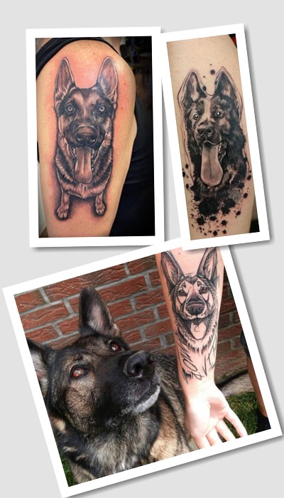 кому підійде тату Вівчарка