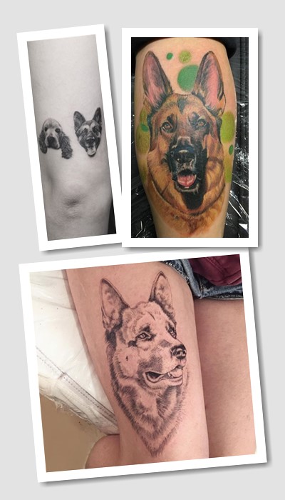 ідеї татуювання Вівчарка