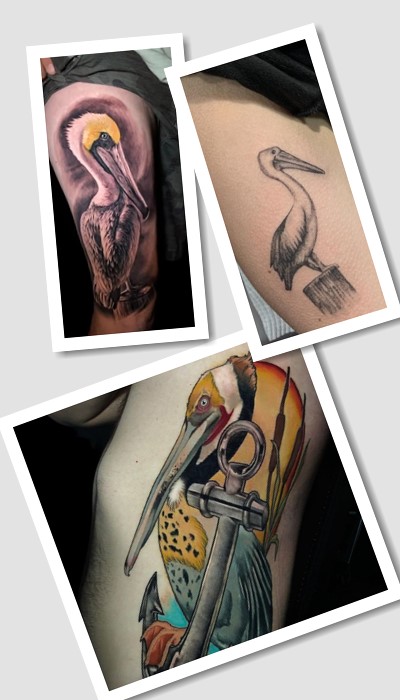 тату Пелікан