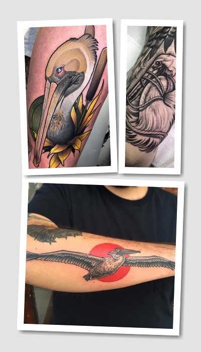 значення татуювання Пелікан