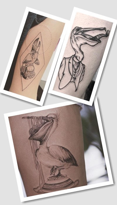 кому підійде тату Пелікан