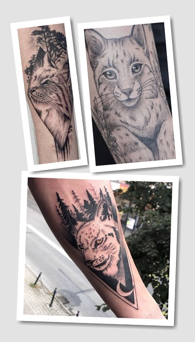 значення тату рись