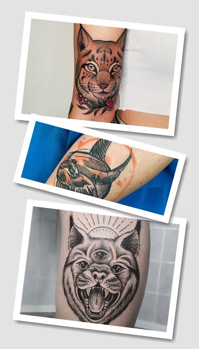 кому підійде тату пума