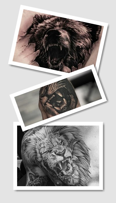 кому підійде тату вищир