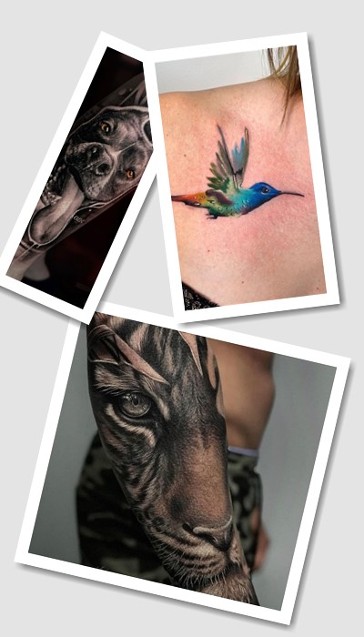 кому підійде татуювання Тварини