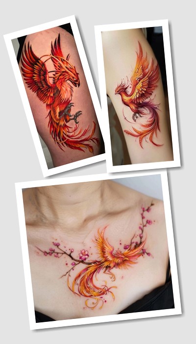 особливості тату фенікс