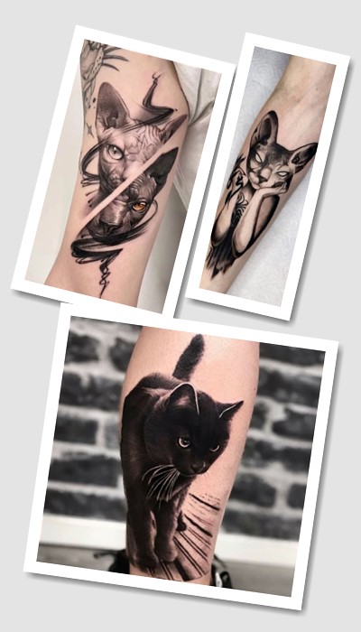 татуювання кіт