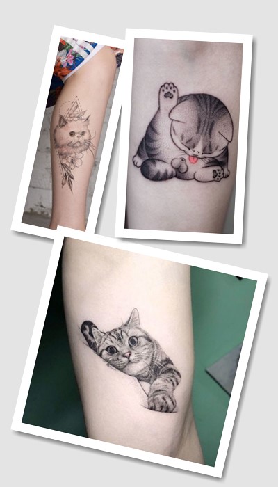 стиль татуювання кіт