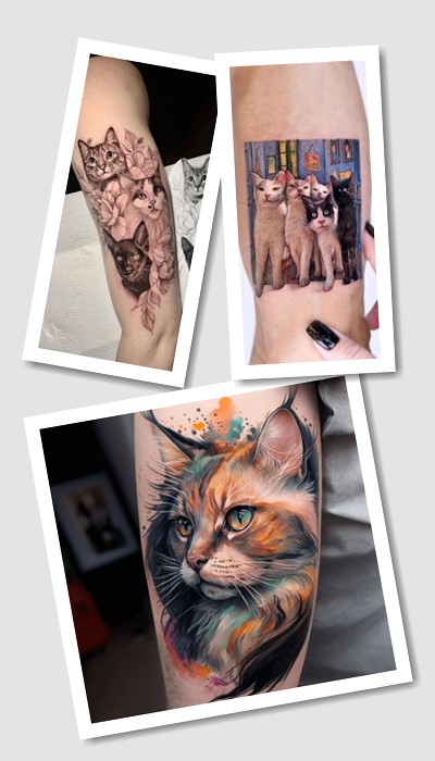 особливості тату кіт