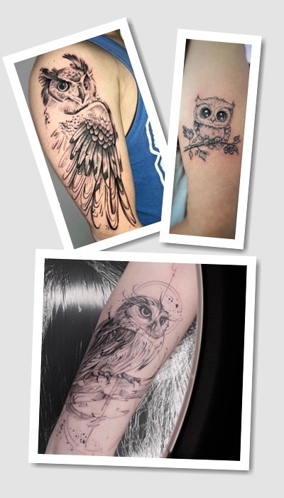 стиль татуювання сова