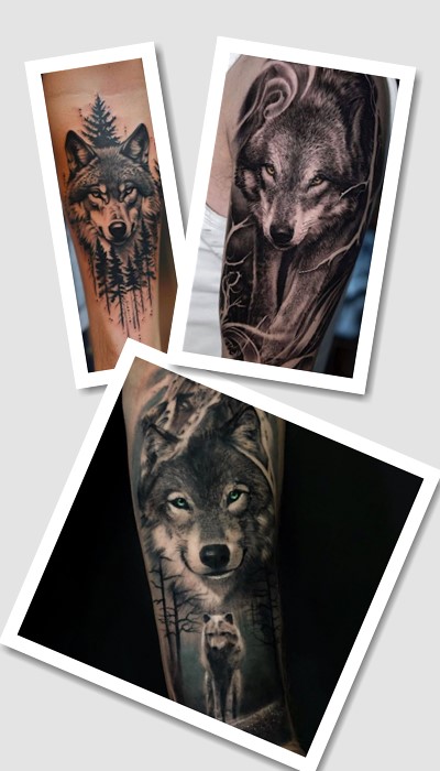 тату Вовк