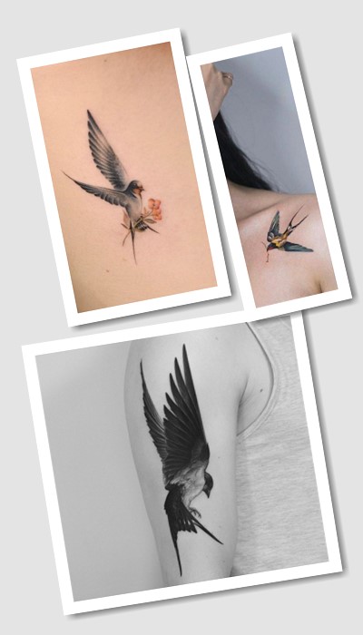 особливості тату Ластівка