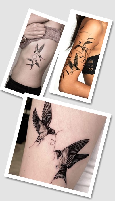 особливості татуювань Ластівка