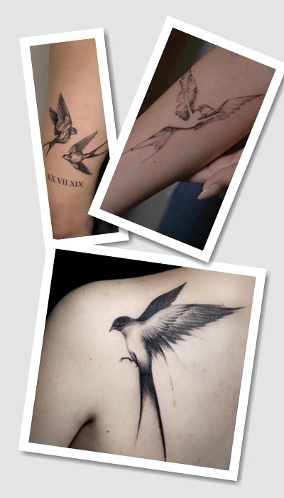 кому підійде тату Ластівка