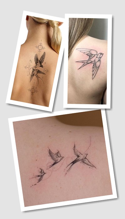 кому підійде татуювання Ластівка
