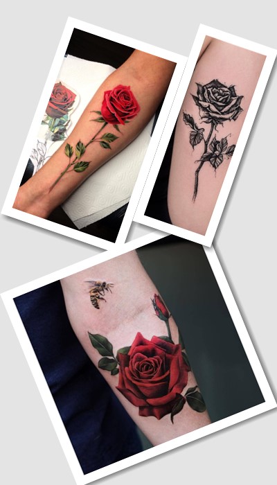 тату троянда