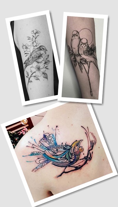 татуювання Птахи