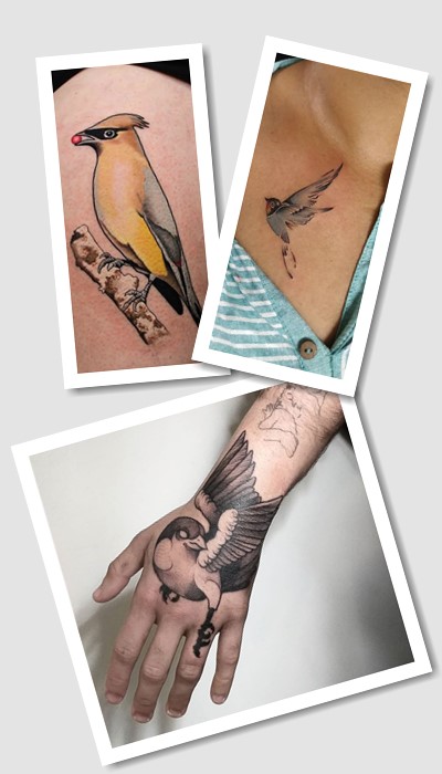 стиль тату Птахи