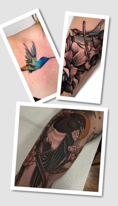 особливості тату Птахи