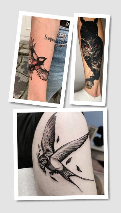 ідеї татуювання Птахи