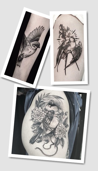 татуювання Птахи у Києві