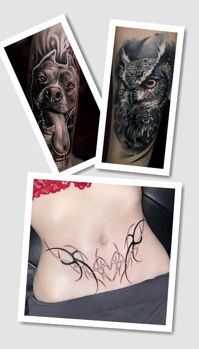 каталог ідеї