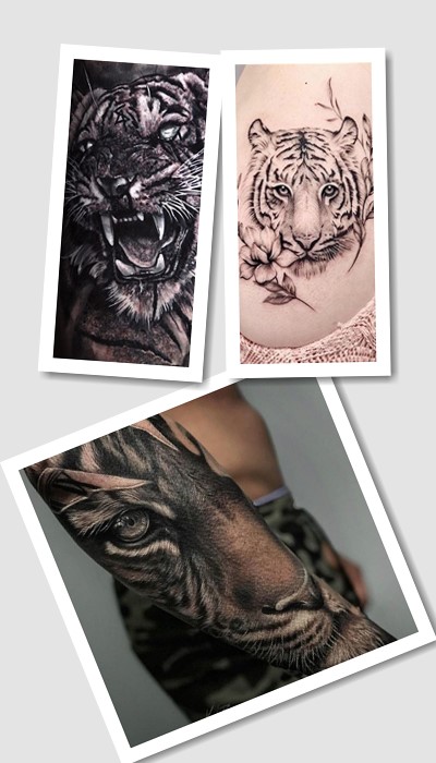 тату тигр
