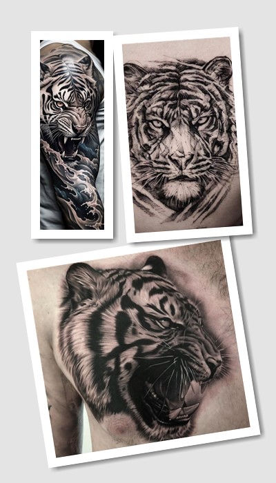 стиль тату тигр