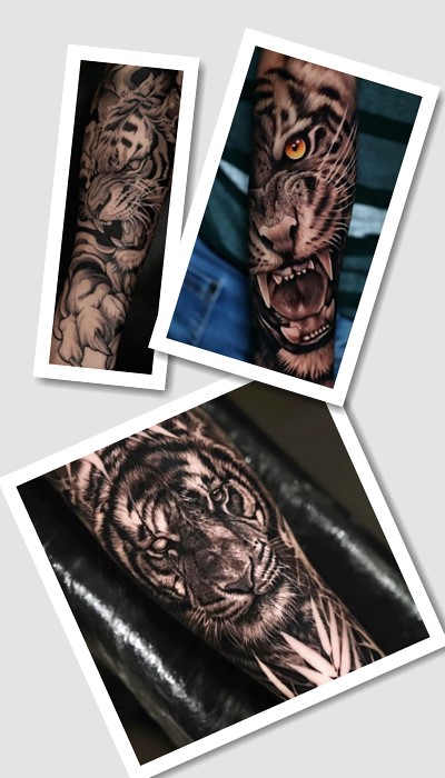 особливості тату тигр
